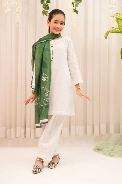Chikankari 3 Pc Suit
