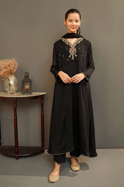 Chiffon Hand Adda Work 3 Pc Suit