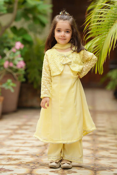 Chiffon Embroidered 3 Pc Suit