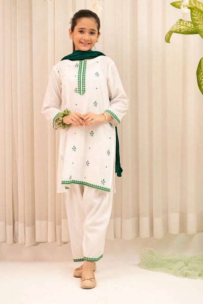 Chambray Cotton Embroidered 3 Pc Suit