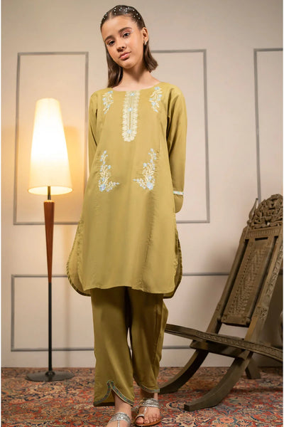 Cotton Embroidered 2 Pc Suit