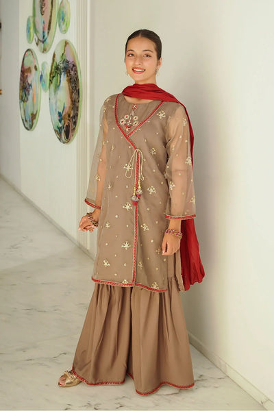 Organza Embroidered 3 Pc Suit