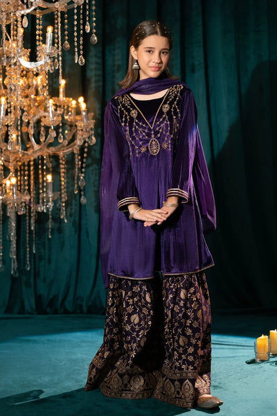 Velvet Hand Adda Work 3 Pc Suit