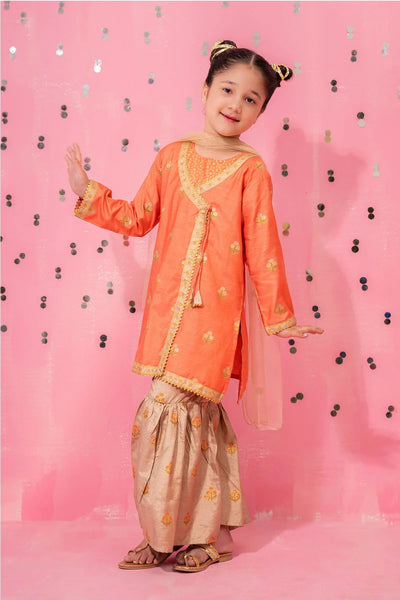 Cotton Silk Embellished 3 Pc Suit