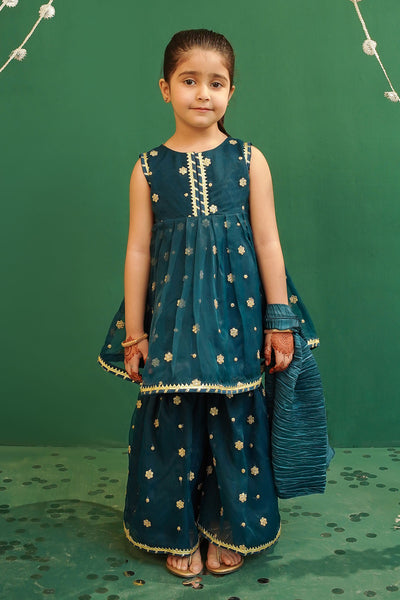 Organza Embroidered 3 Pc Suit