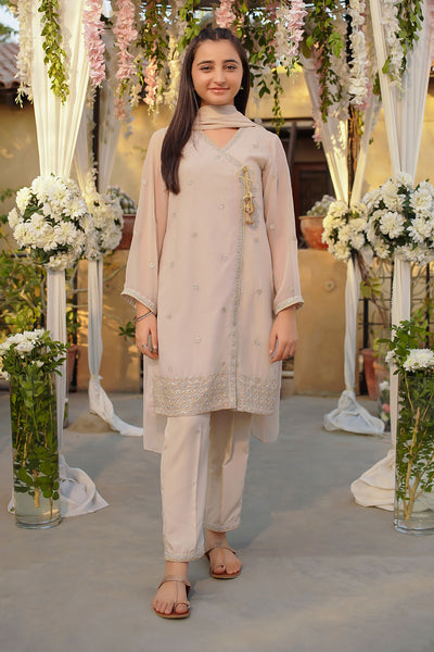 Chiffon Embroidered 3 Pc Suit