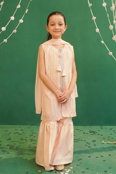 Chiffon Embroidered 3 Pc Suit
