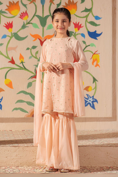 Chiffon Embroidered 3 Pc Suit