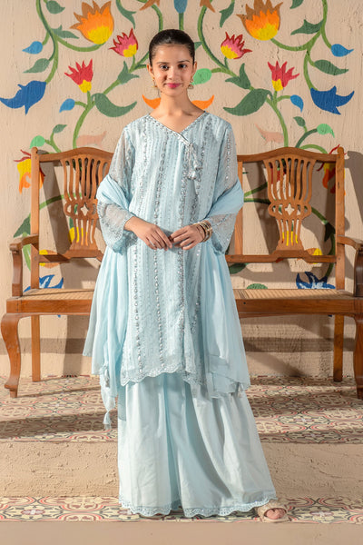 Chiffon Embroidered 3 Pc Suit
