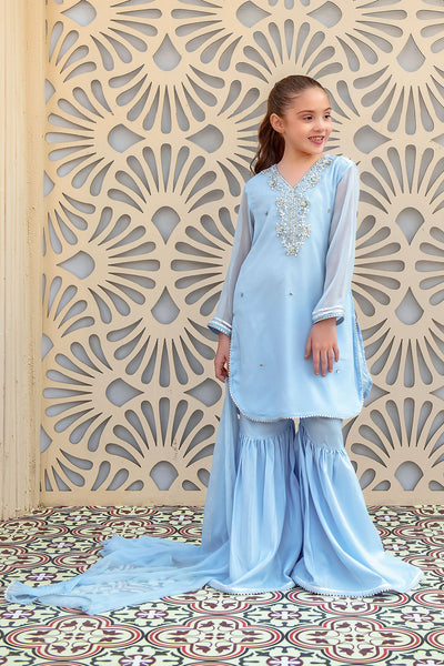Chiffon Hand Adda Work 3 Pc Suit