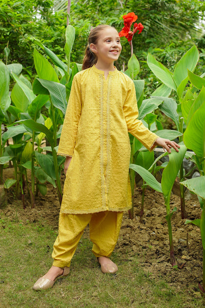 Cotton Broshia 2 Pc Suit