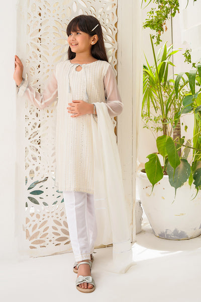 Chiffon Embroidered 3 Pc Suit