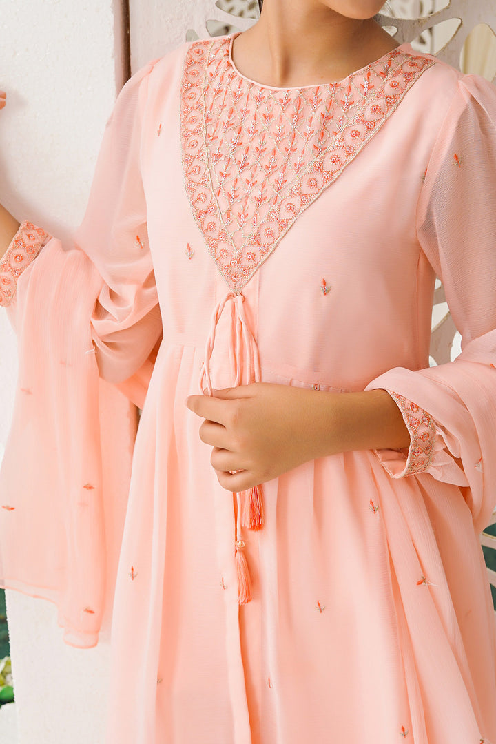 Chiffon Embroidered 3 Pc Suit - Wear Ochre