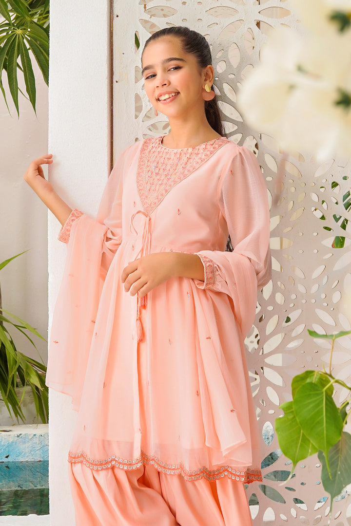 Chiffon Embroidered 3 Pc Suit - Wear Ochre