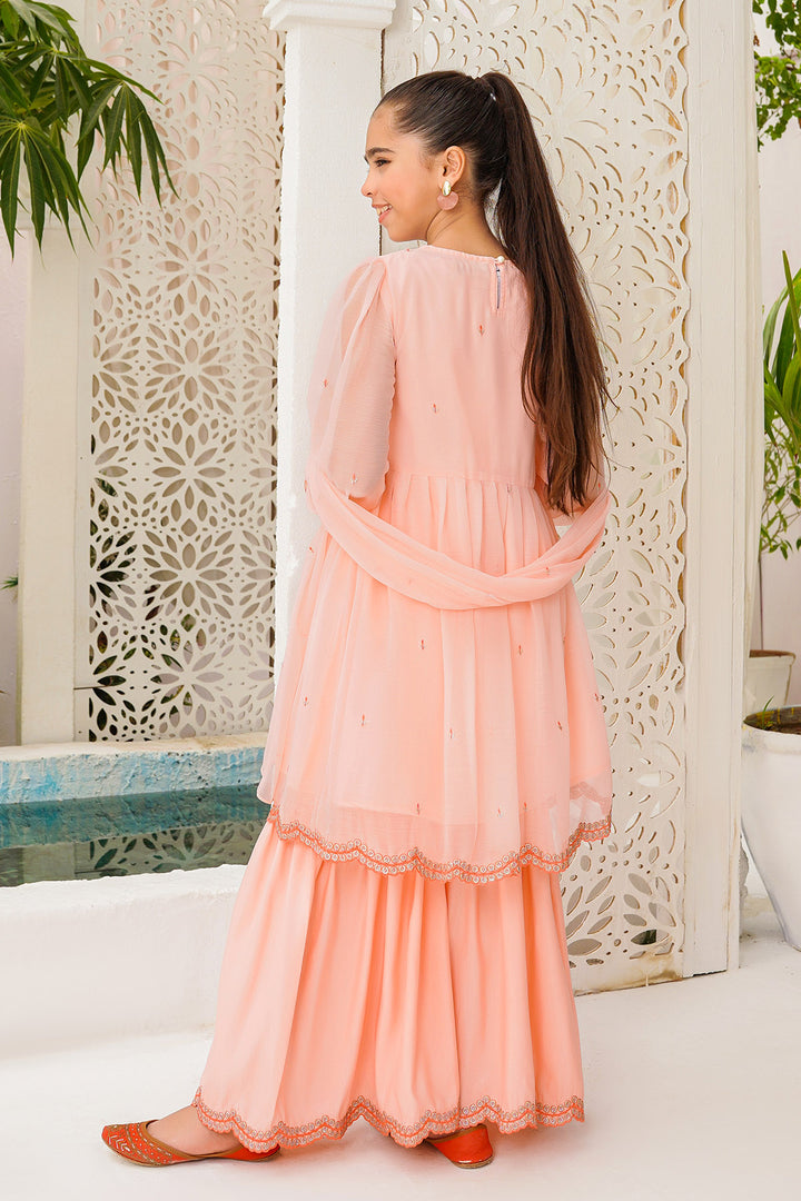 Chiffon Embroidered 3 Pc Suit - Wear Ochre