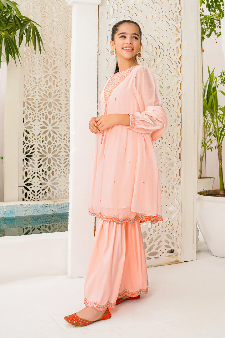Chiffon Embroidered 3 Pc Suit - Wear Ochre
