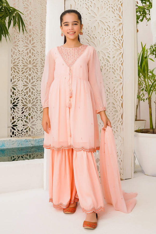 Chiffon Embroidered 3 Pc Suit