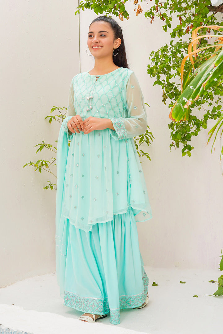 Chiffon Embroidered 3 Pc Suit - Wear Ochre
