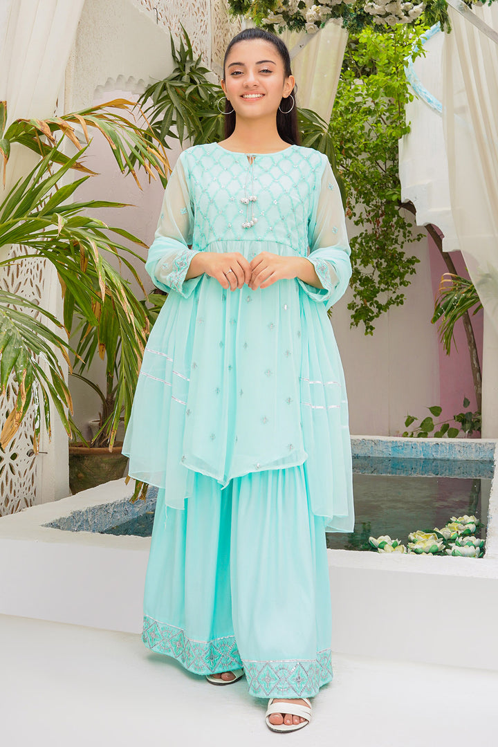 Chiffon Embroidered 3 Pc Suit - Wear Ochre