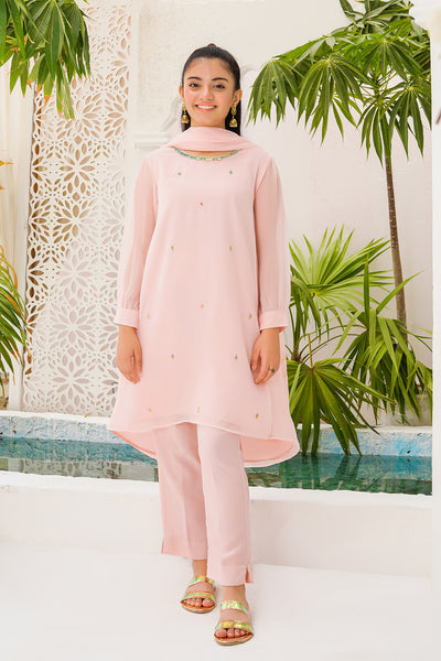 Chiffon Hand Adda Work 3 Pc Suit