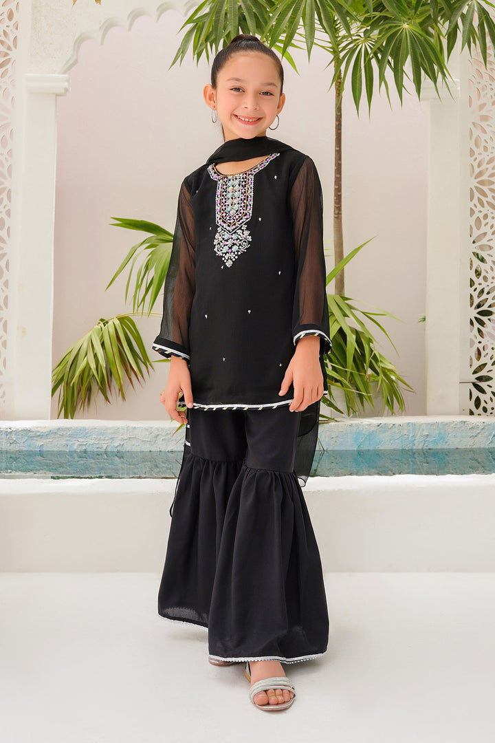 Chiffon Hand Adda Work 3 Pc Suit - Wear Ochre