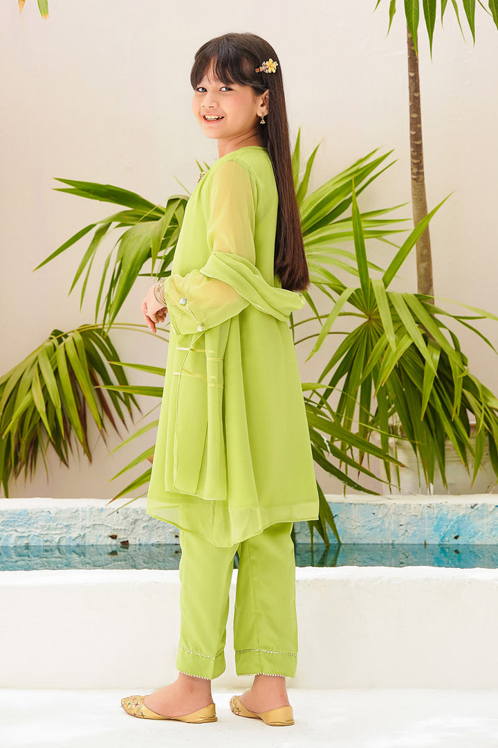 Chiffon Hand Adda Work 3 Pc Suit - Wear Ochre