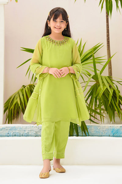 Chiffon Hand Adda Work 3 Pc Suit
