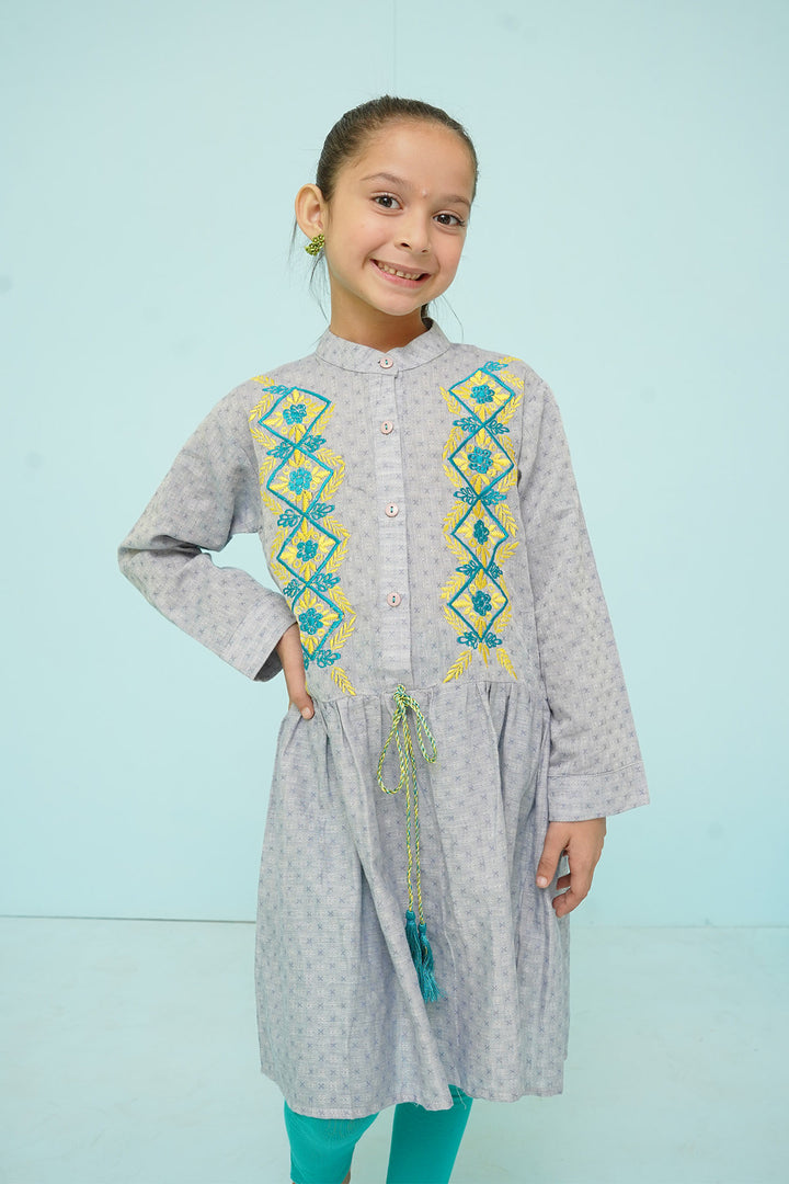 Chambray Cotton Embroidered Top - Wear Ochre