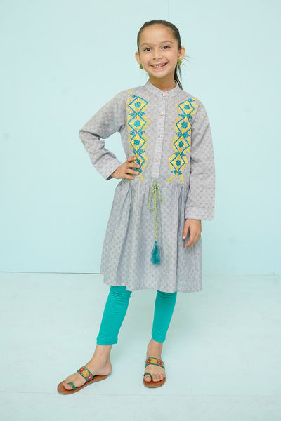 Chambray Cotton Embroidered Top