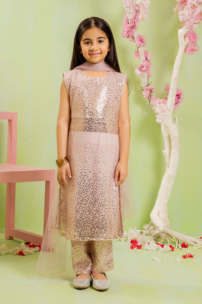 Sequence Embroidered Net 3 Pc Suit