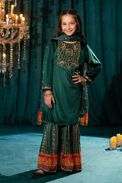 Velvet Hand Adda Work 3 Pc Suit