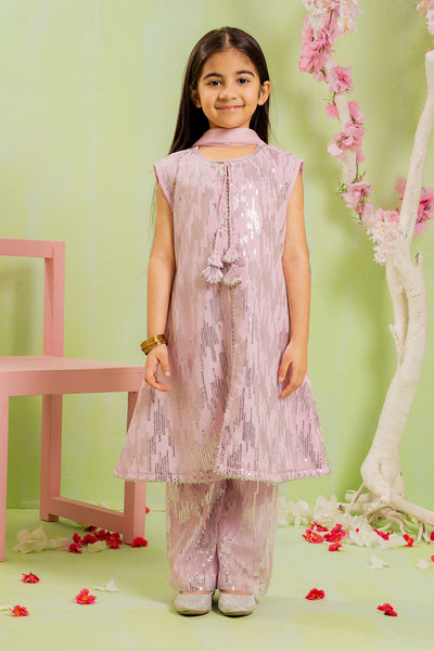 Sequence Embroidered Net 3 Pc Suit