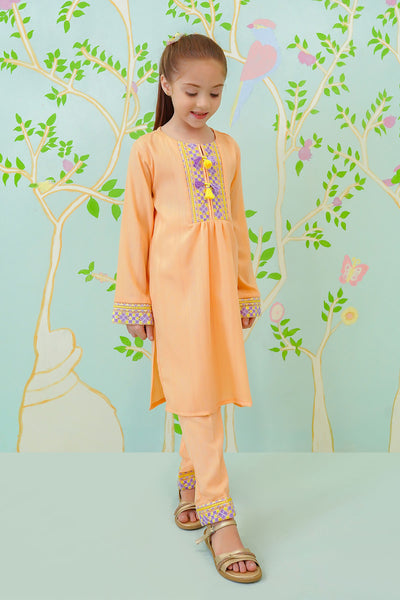 Cotton Jacquard Embroidered 2 Pc Suit