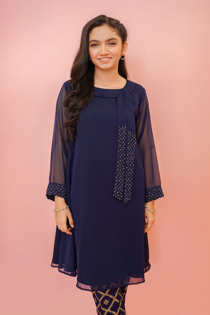 Chiffon Hand Adda Work 2 Pc Suit - Wear Ochre