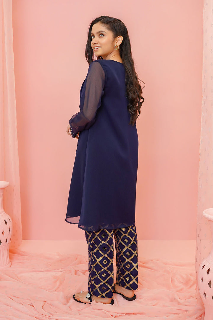 Chiffon Hand Adda Work 2 Pc Suit - Wear Ochre