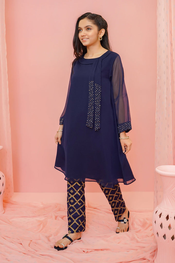 Chiffon Hand Adda Work 2 Pc Suit - Wear Ochre