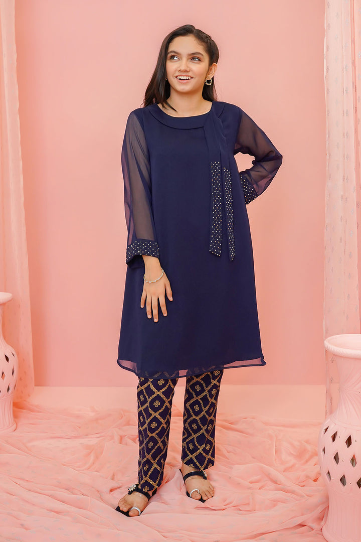 Chiffon Hand Adda Work 2 Pc Suit - Wear Ochre