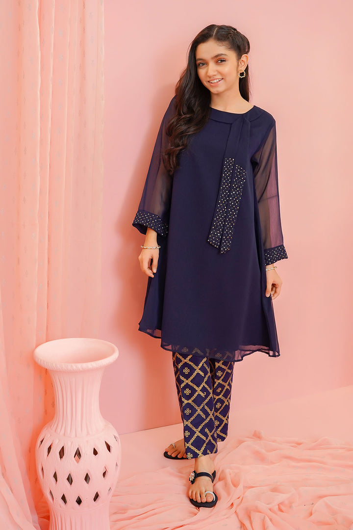 Chiffon Hand Adda Work 2 Pc Suit - Wear Ochre
