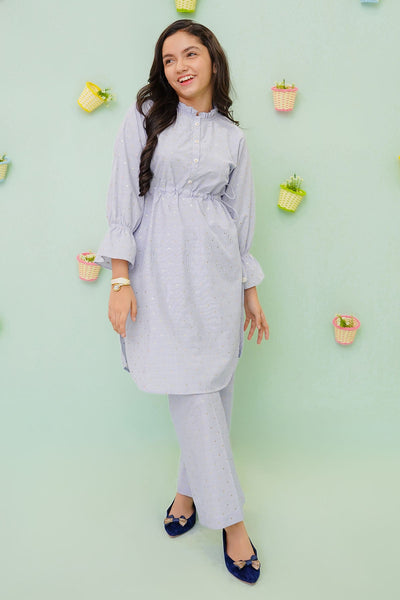 Zari Chambray 2 Pc Suit