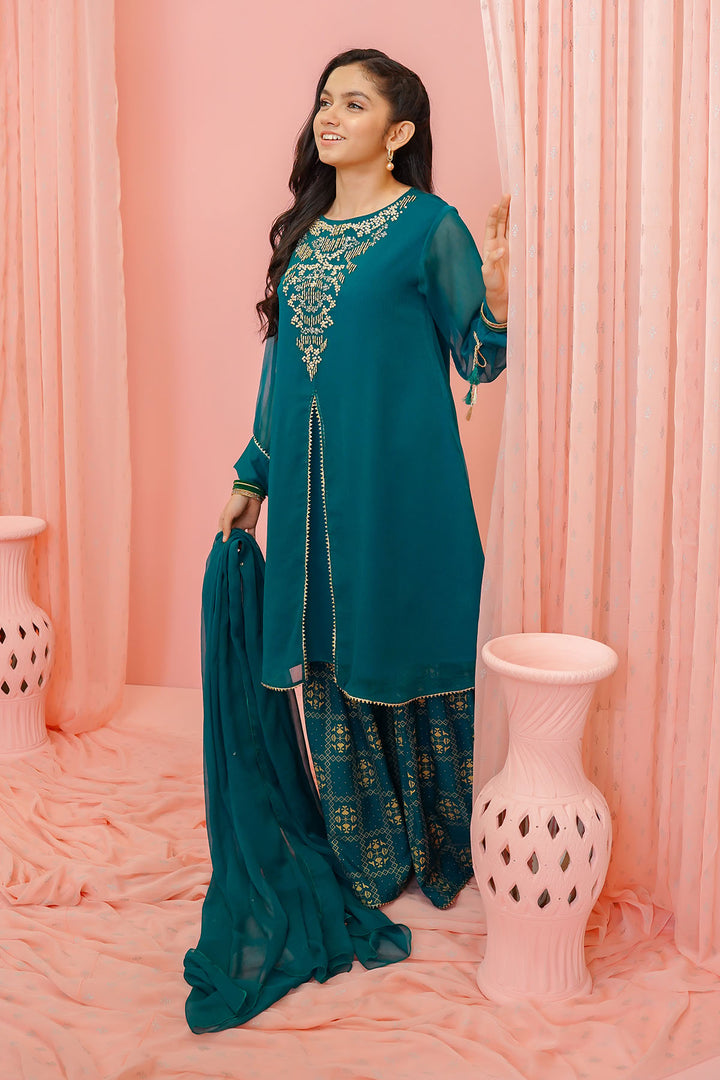 Chiffon Hand Adda Work 3 Pc Suit - Wear Ochre