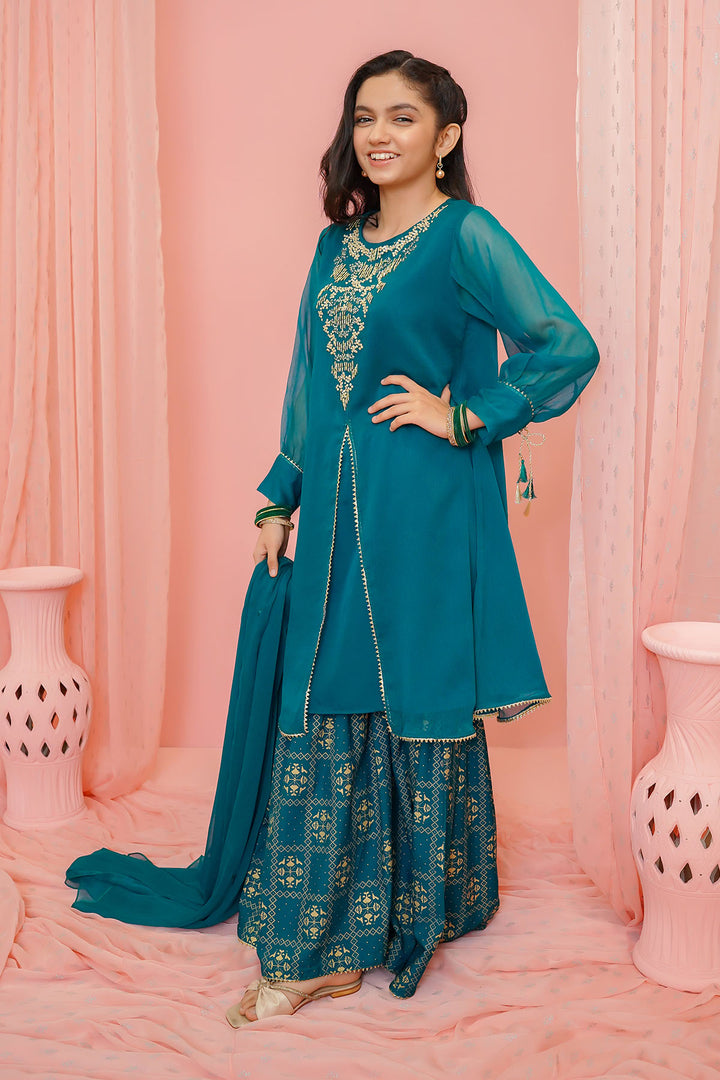Chiffon Hand Adda Work 3 Pc Suit - Wear Ochre