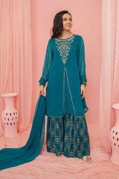 Chiffon Hand Adda Work 3 Pc Suit