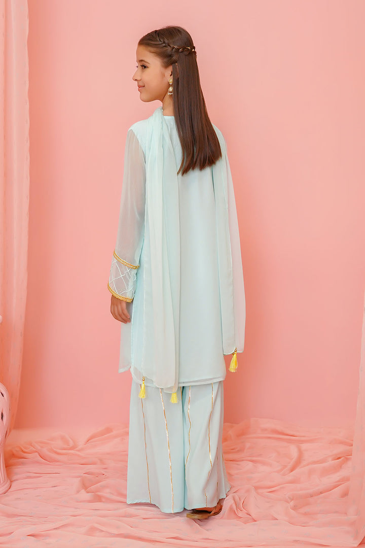 Chiffon Hand Adda Work 3 Pc Suit - Wear Ochre