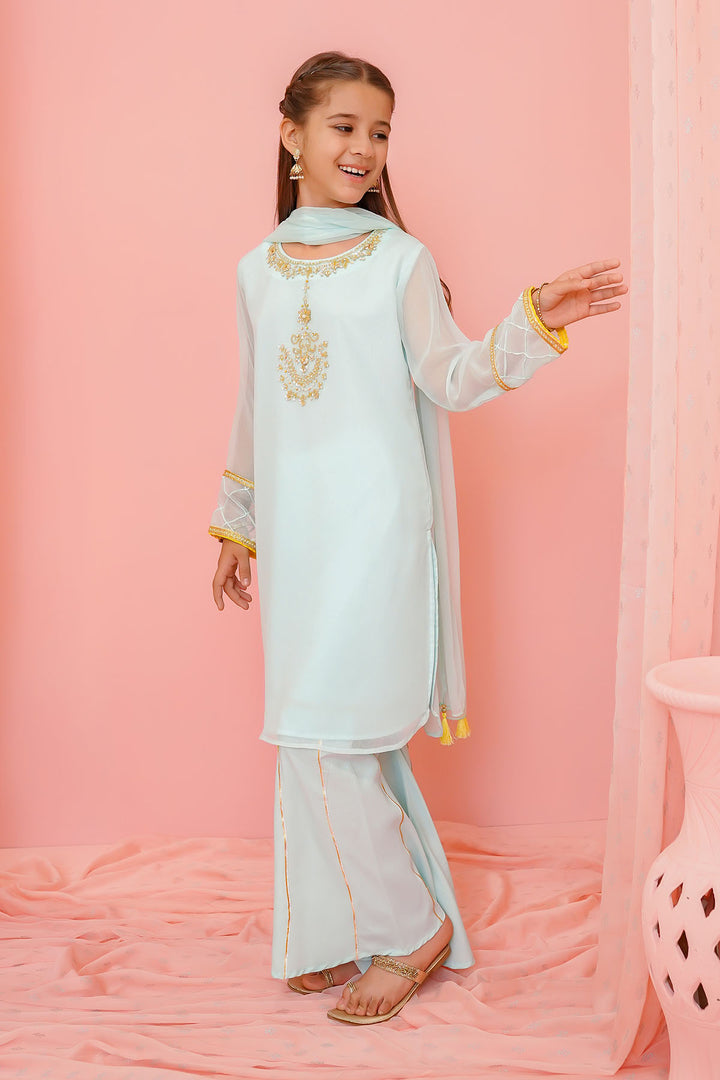 Chiffon Hand Adda Work 3 Pc Suit - Wear Ochre