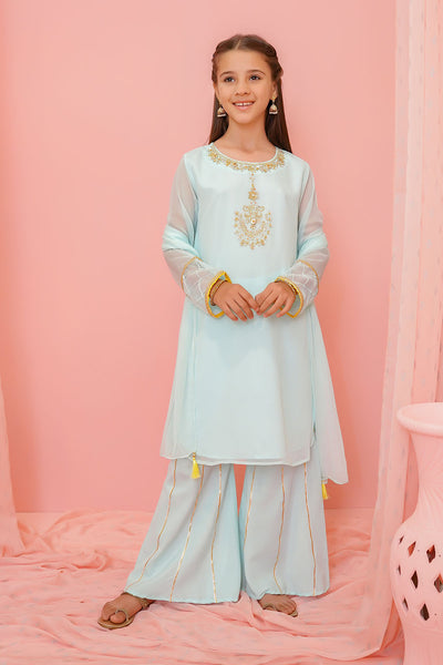 Chiffon Hand Adda Work 3 Pc Suit