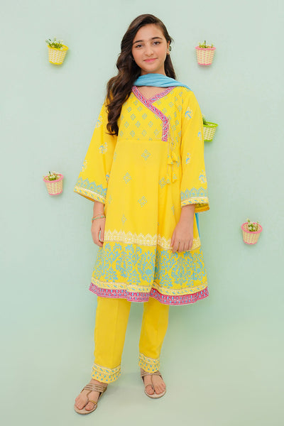 Cotton Block Printed 3 Pc Suit