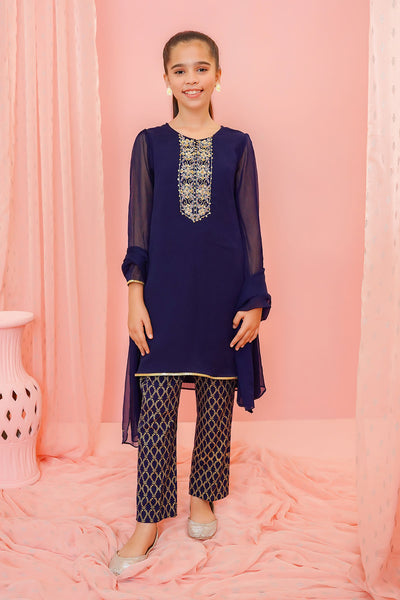 Chiffon Hand Adda Work 3 Pc Suit