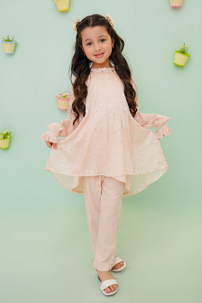 Chiffon Printed 2 Pc Suit