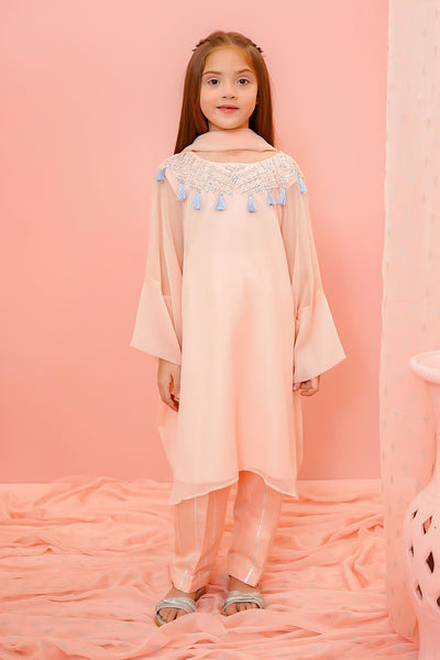 Chiffon Hand Adda Work 3 Pc Suit