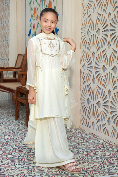 Chiffon Hand Adda Work 3 Pc Suit